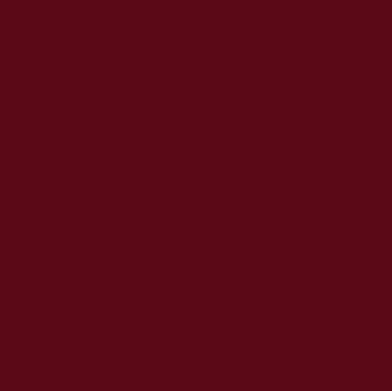 Change Agent Magnetic Original Lipstick O 589 DEEP WINE