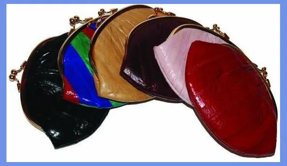 Women Eel Skin Small Coin Purse E 10 SM